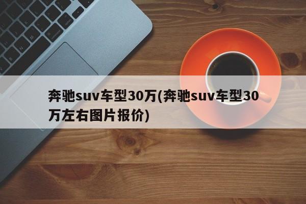 奔驰suv车型30万(奔驰suv车型30万左右图片报价)