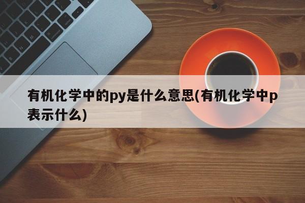 有机化学中的py是什么意思(有机化学中p表示什么)