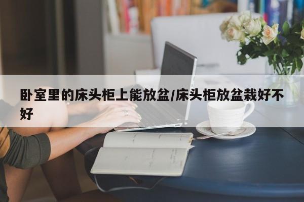 卧室里的床头柜上能放盆/床头柜放盆栽好不好